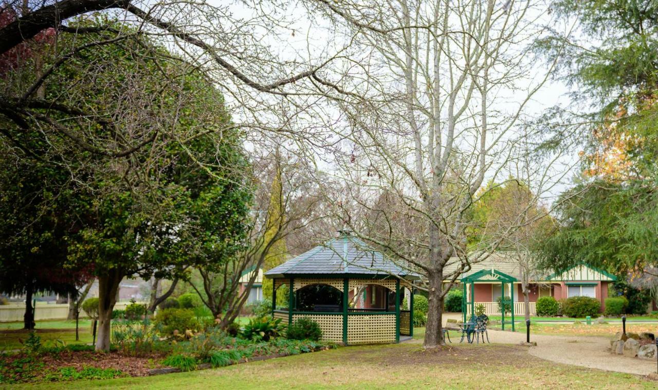 The Birch House - Silver Birches Accommodation Bright Exterior photo